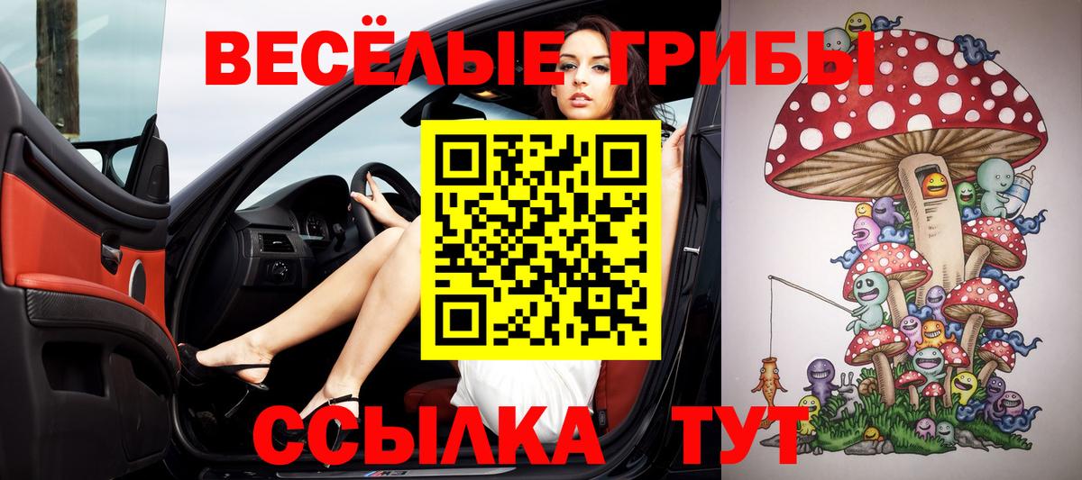 Нижнеудинск  Галлюциногенные грибы MAGIC MUSHROOMS  Вход с VPN 