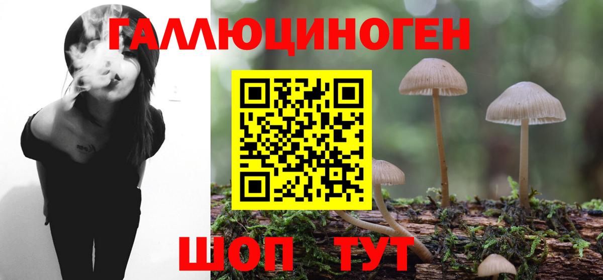 Псилоцибиновые грибы Magic Shrooms Нижнеудинск